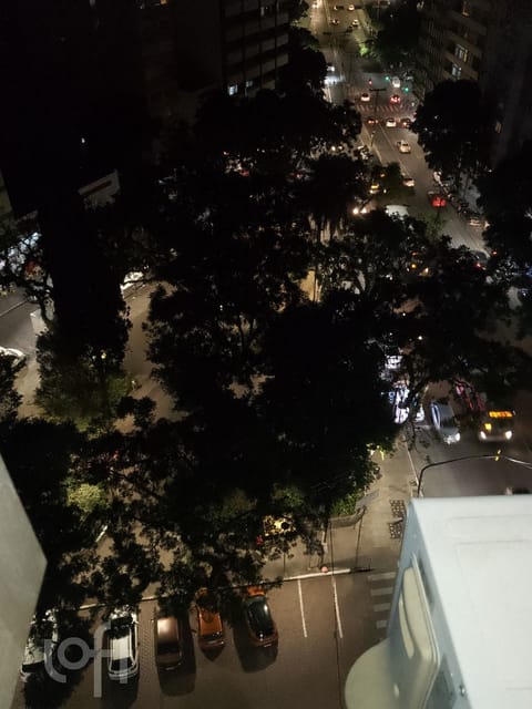 Image 38 - 250464